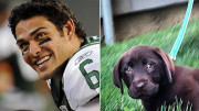 We present you a list of NFL players with their adorable pups.