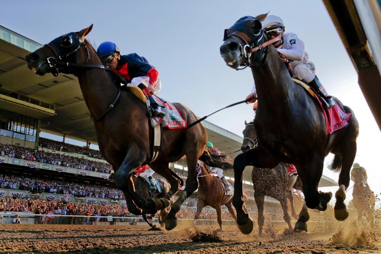 Horse Racing: Breaking Stories and all the latest news in Horse Racing